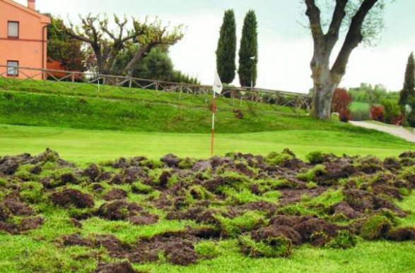 Terreno in riparazione nel campo da golf