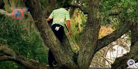 Magico shot da sopra un albero: la gloriosa pazzia di Garcia[video]
